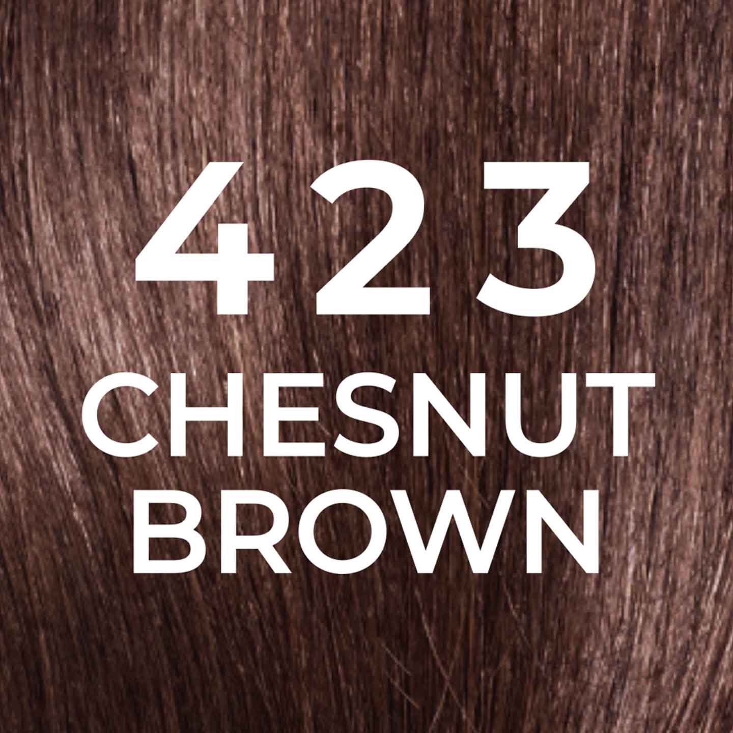 20221606 Digital Castingnaturalgloss Colorgloss Swatches 423 Shade Guide Dmi Image Na No Cta